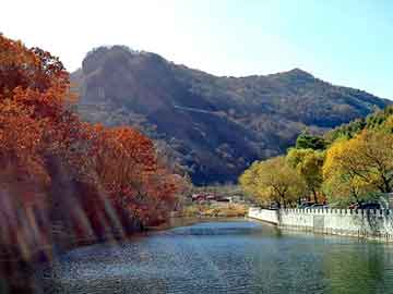 新澳天天开奖资料大全旅游团，云南白药牙膏广告语